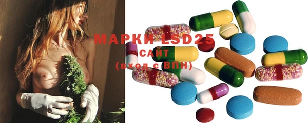 ECSTASY Белокуриха