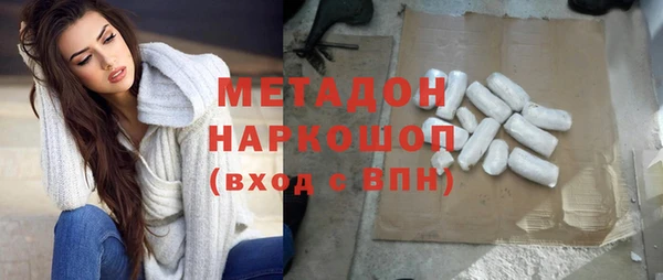 сатива Беломорск