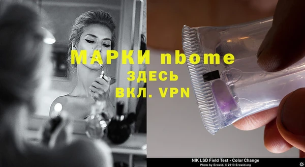 сатива Беломорск