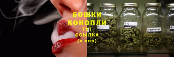 сатива Беломорск