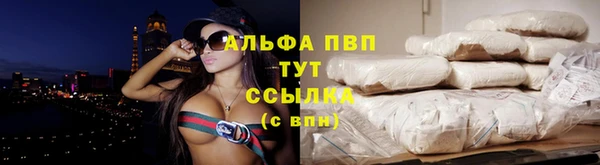 ГАЛЛЮЦИНОГЕННЫЕ ГРИБЫ Белоозёрский