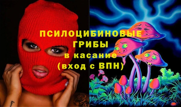 ГАЛЛЮЦИНОГЕННЫЕ ГРИБЫ Белоозёрский