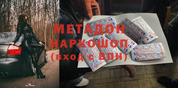 сатива Беломорск