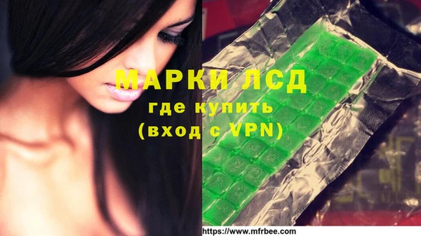 ECSTASY Белокуриха