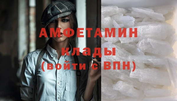сатива Беломорск